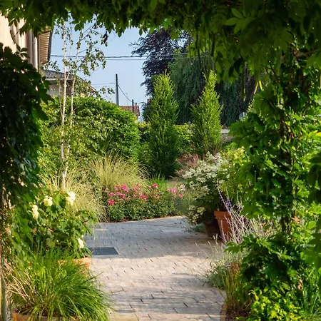 Шале Green Lodge Cressa